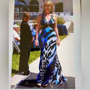 Cache Evening Maxi Dress Size 2